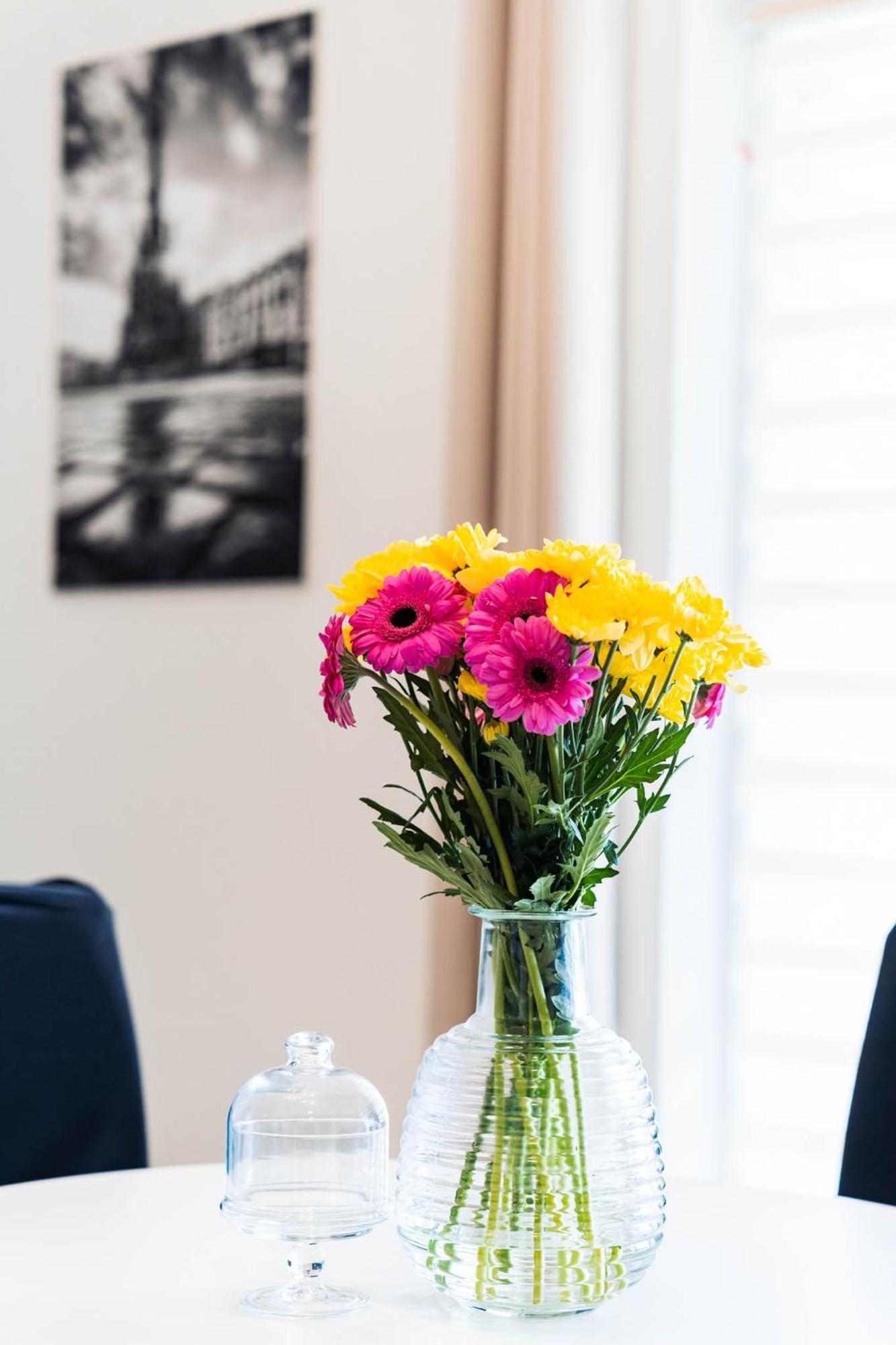 Silvie Apartments - Wolkerova Olomouc Dış mekan fotoğraf